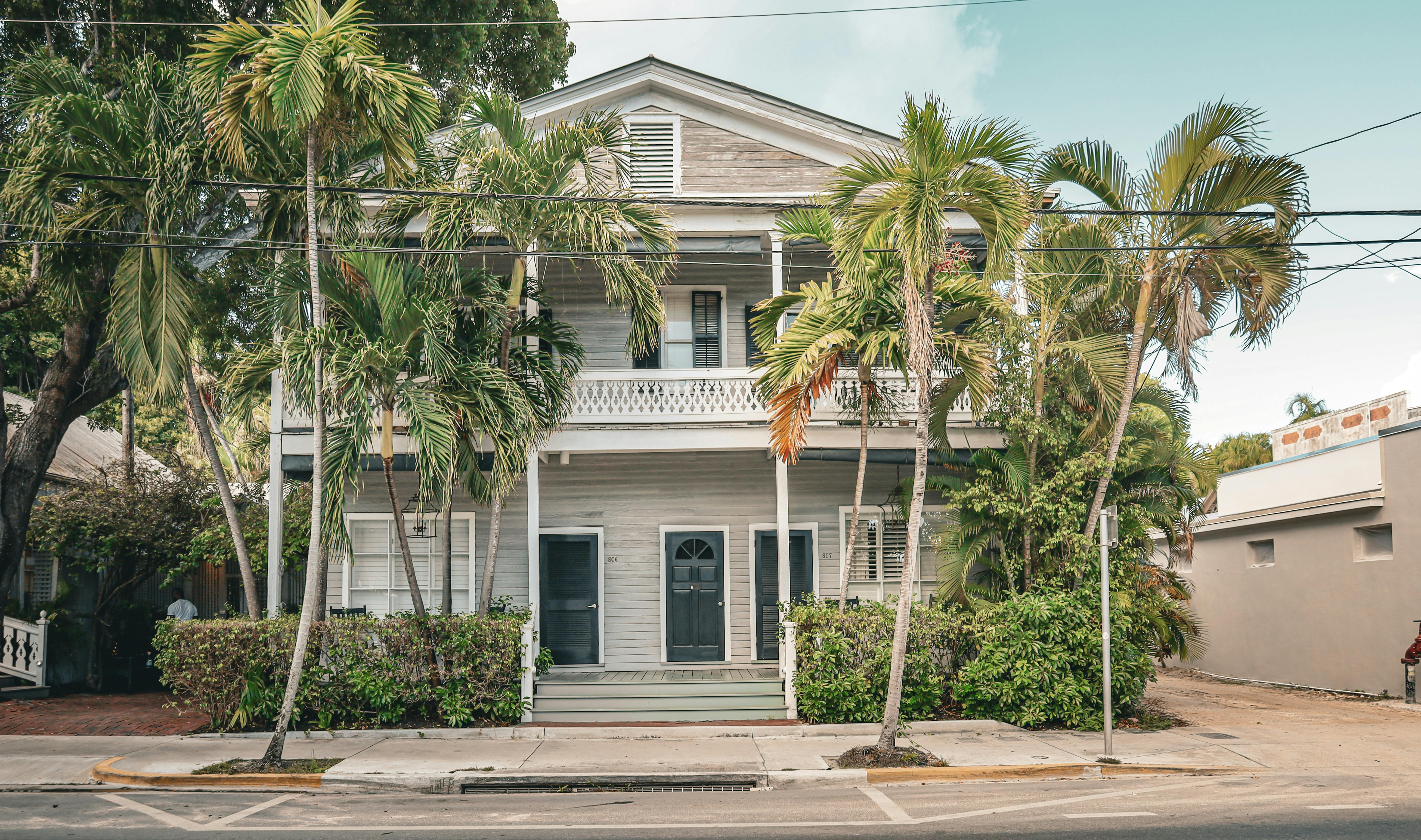 A warm-climate Florida home exterior with palm trees and bright winter sun.